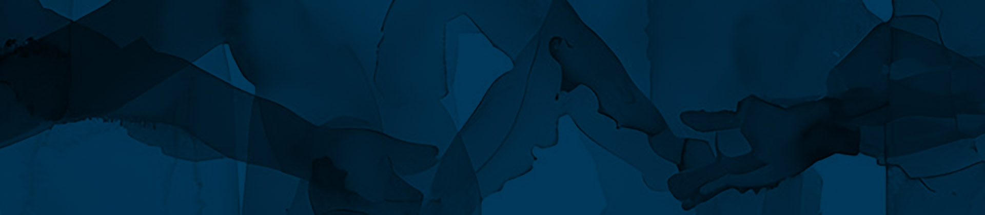 Armin Kohl Consult Header 3